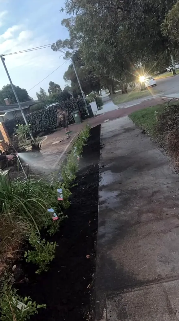 Freshly mulched garden bed planted along a clean concrete path