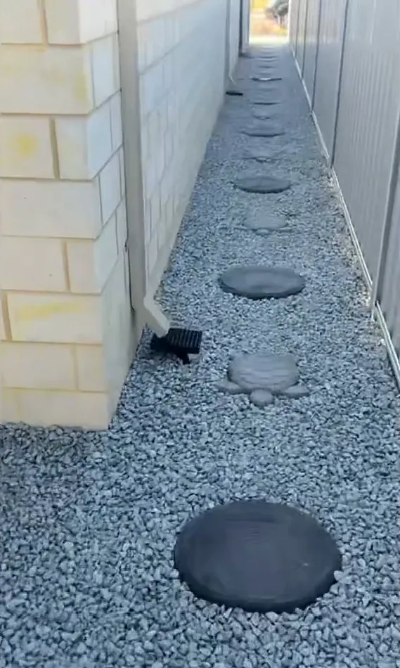 Narrow side path finished in blue metal gravel with round stepping stones