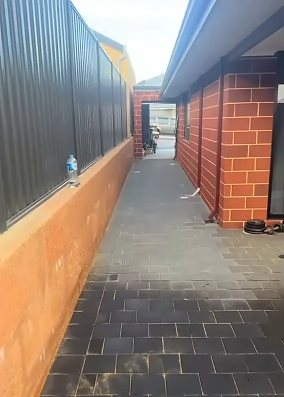 Narrow side path paved in charcoal pavers beside a red brick wall